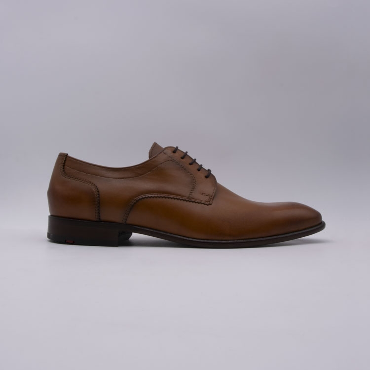 Lloyd<br>pados 03 camel
