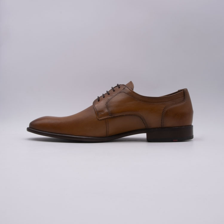 Lloyd<br>pados 03 camel7167401_3