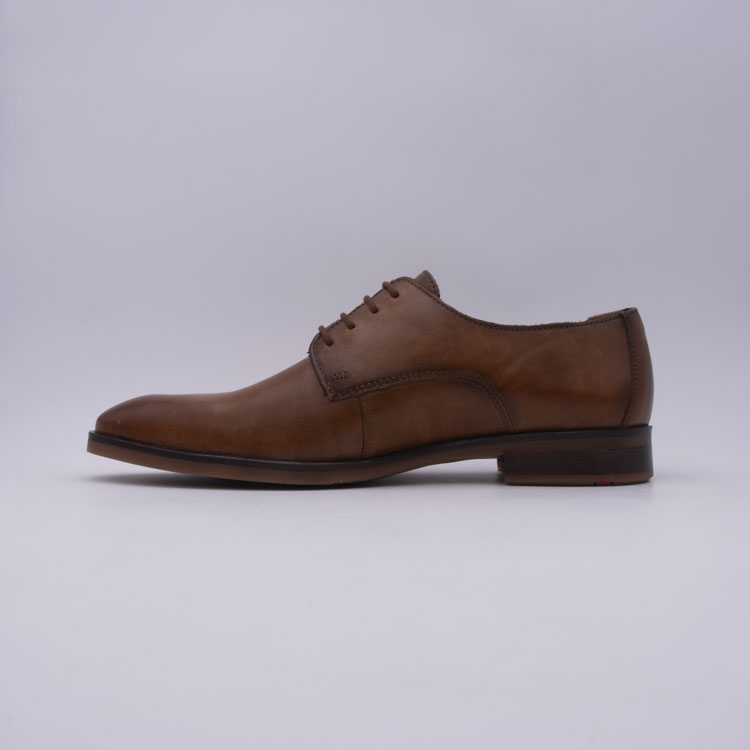 Lloyd<br>odil 05 camel7167901_3