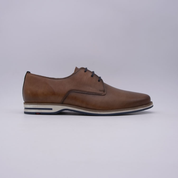 Lloyd<br>dakin 04 camel