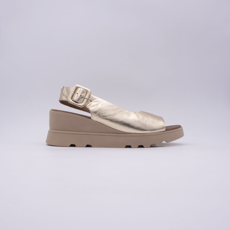 Bueno<br>errance oro dore