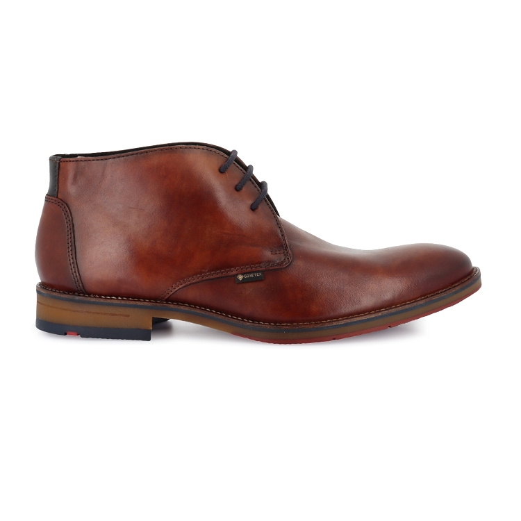 Lloyd<br>verdon marron