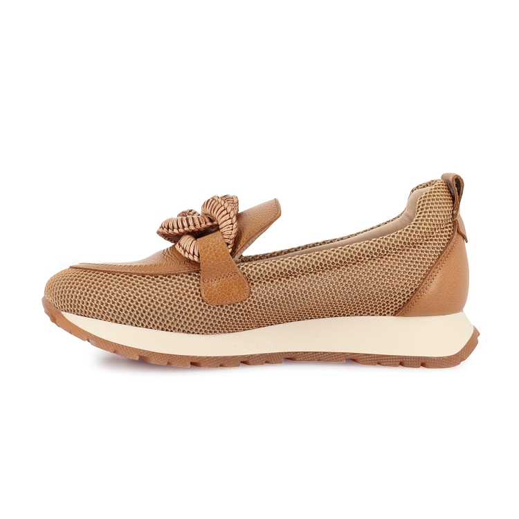 Hispanitas<br>hv254065 camel7244601_3