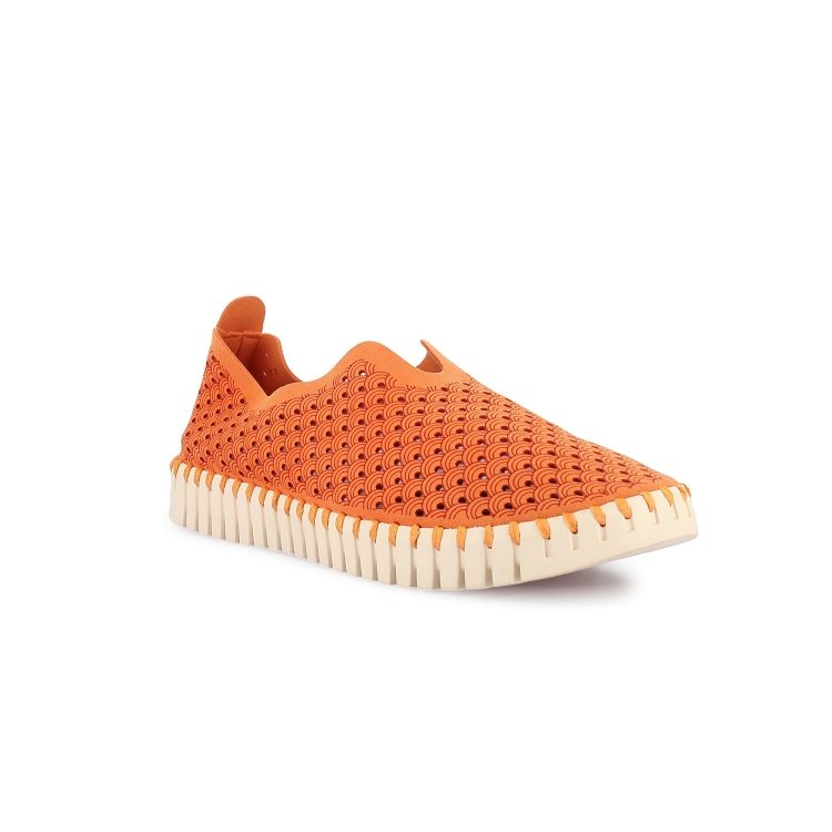 Ilse jacobsen<br>tulip 906 orange7246401_2