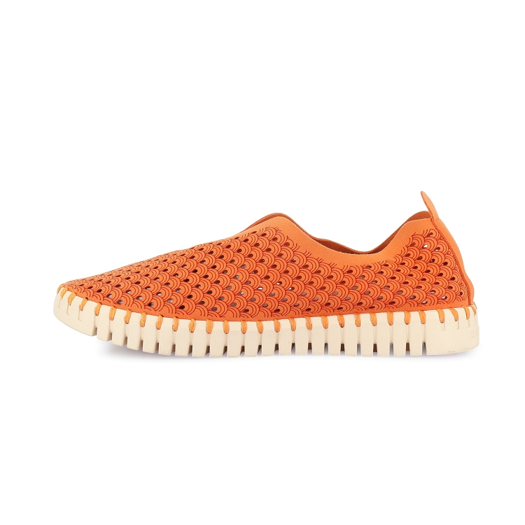 Ilse jacobsen<br>tulip 906 orange7246401_3