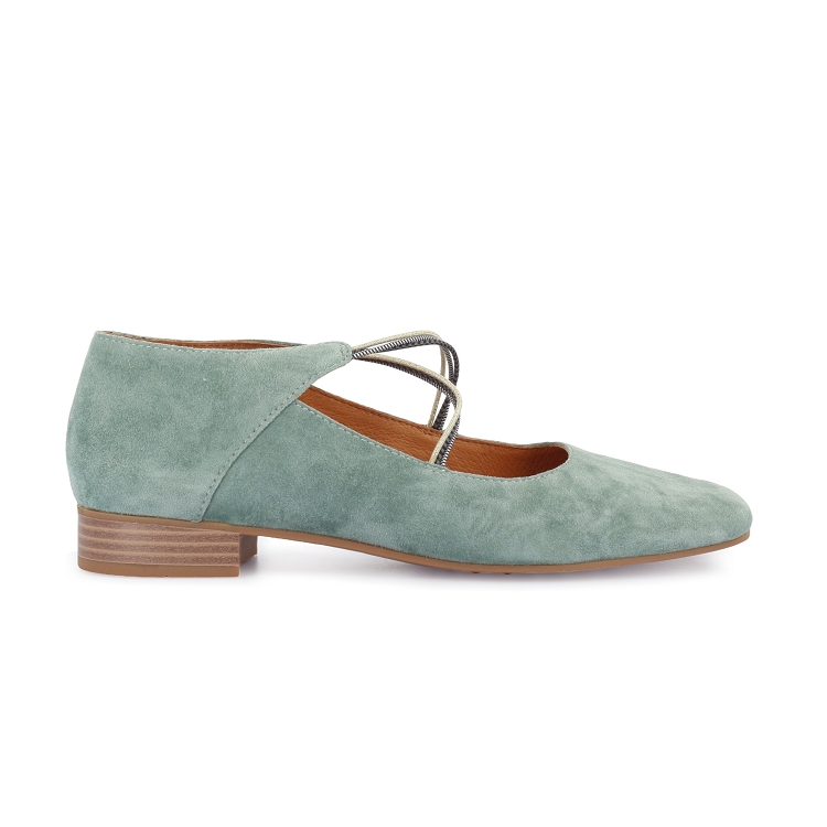 Mam zelle<br>anima vert