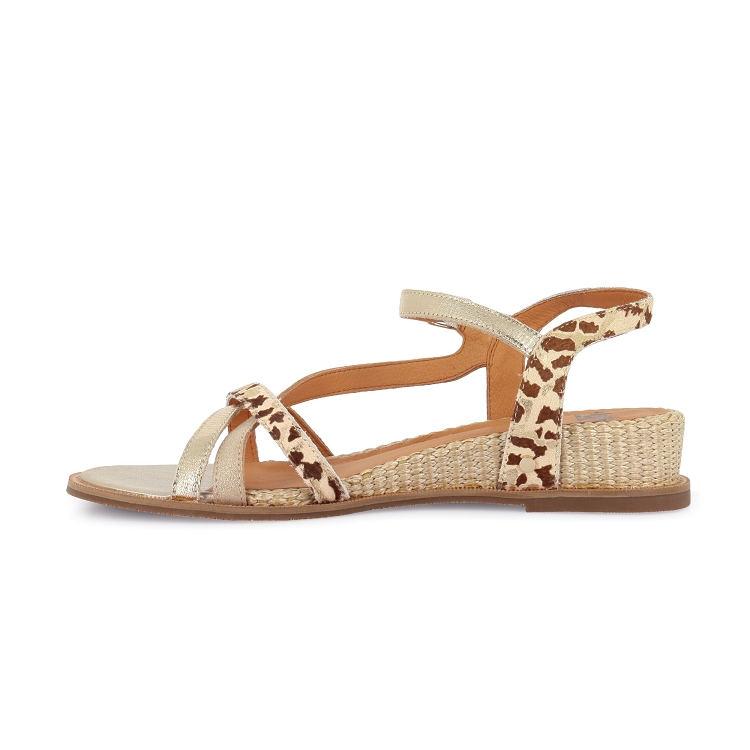 Mam zelle<br> dore7250501_3