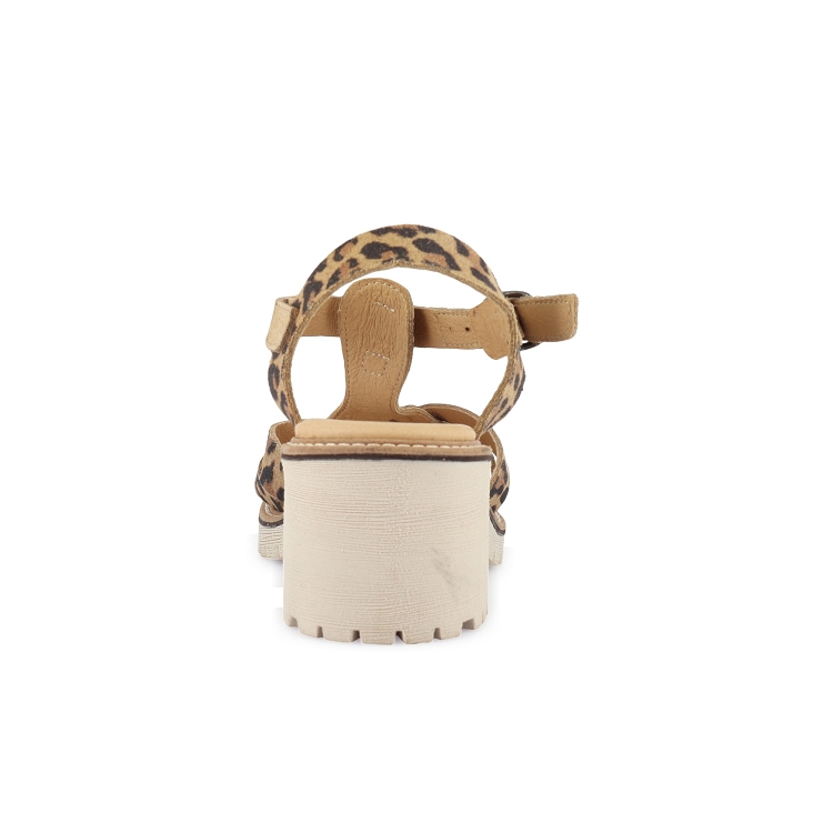 Mkd<br>maret 1672    7254701_4