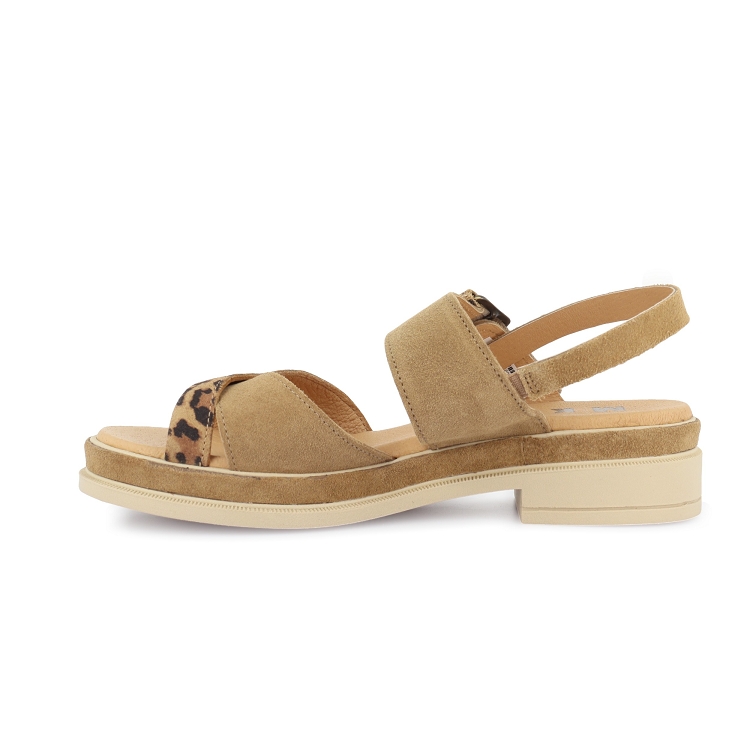 Mkd<br>dane 1656    7254901_3