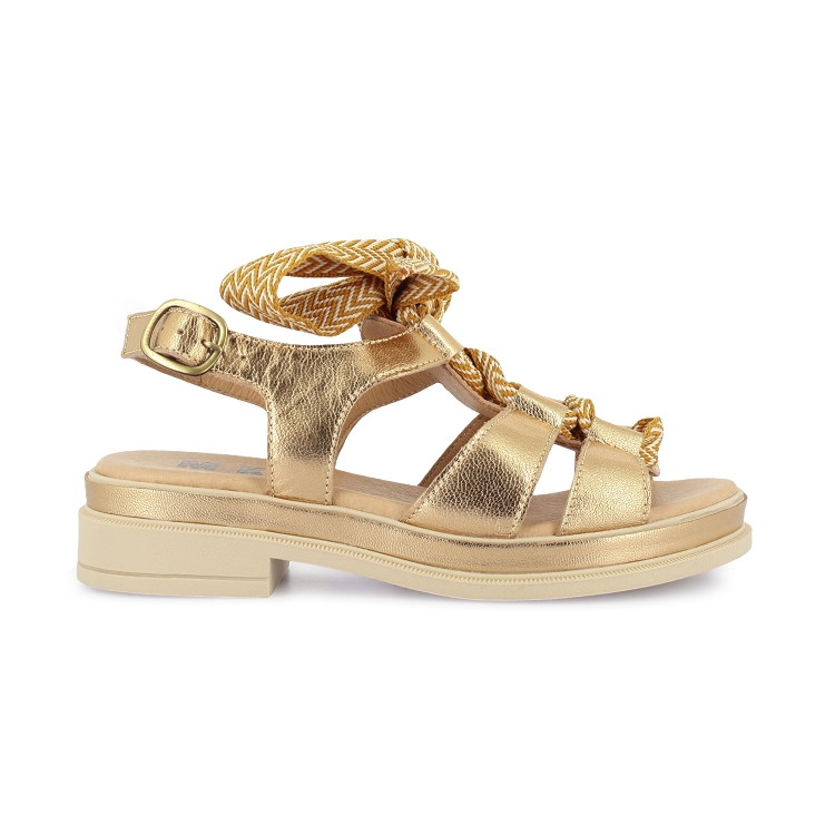 Mkd<br>dany 1655 dore