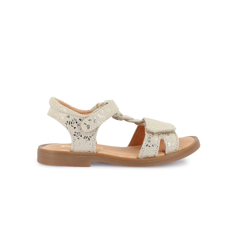 Gbb<br>farena 43 dore