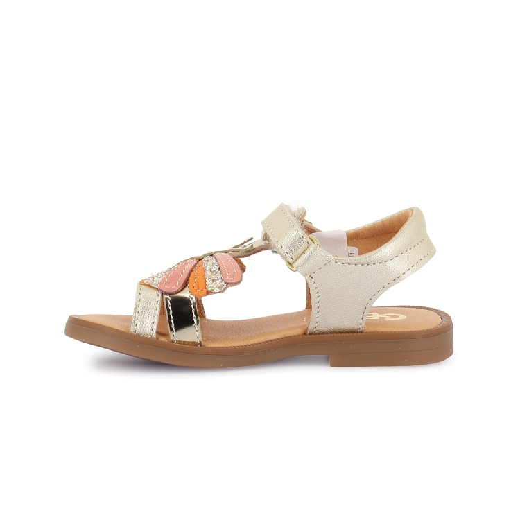 Gbb<br>harmonie 18 dore7347301_3