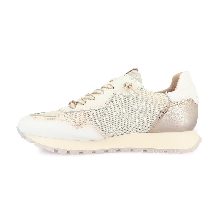 Hispanitas<br>hv264825 c001    7352301_3