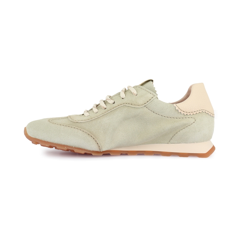 Hispanitas<br>hv264502 c006    7352901_3