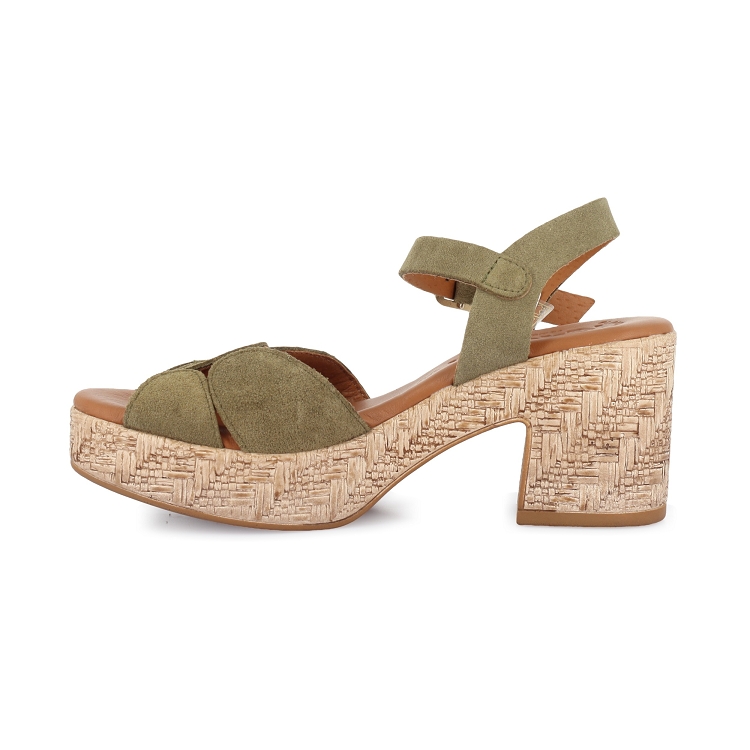 Kaola<br>3136 kaki kaki7355801_3