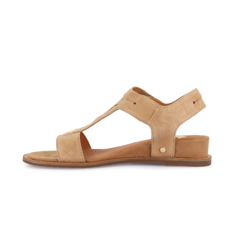 Mam zelle<br>oisin camel7357401_3