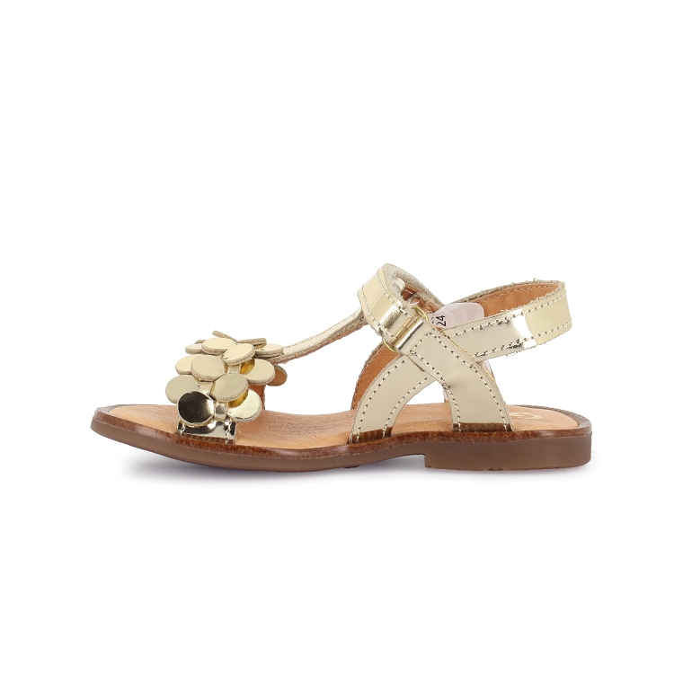 Gbb<br>heureux 18 dore7394401_3