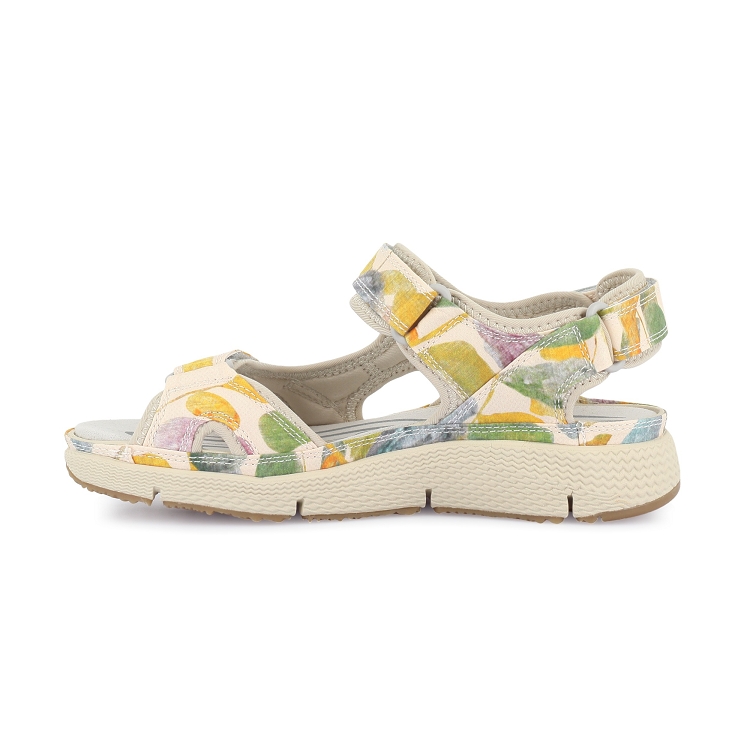 Allrounder<br>its me 31 camel7738801_3