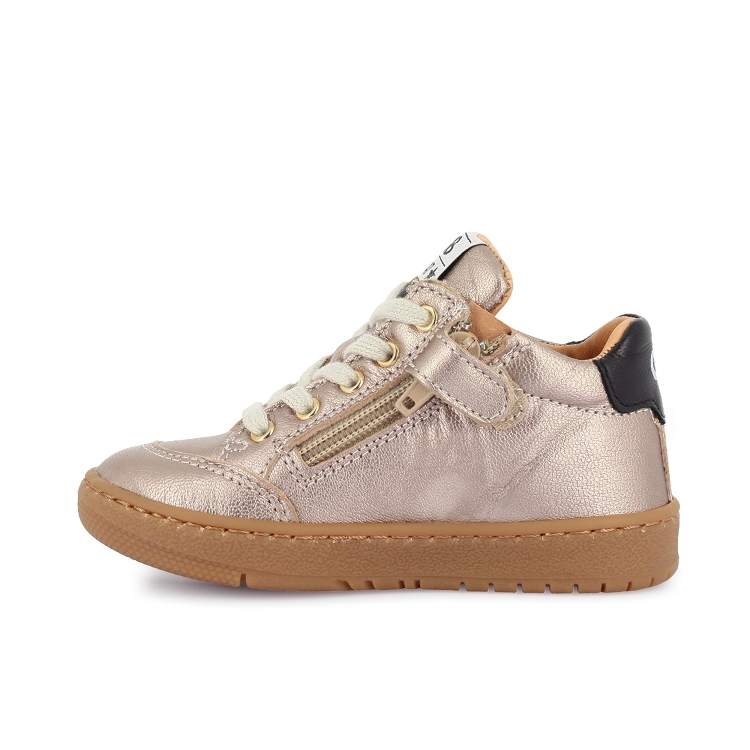 Gbb<br>accueillant 18 dore8023401_3